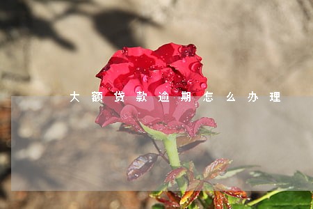 大额贷款逾期怎么办理 大额贷款逾期怎么办理