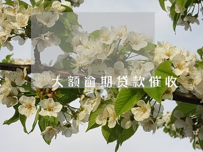 大额逾期贷款催收 大额逾期贷款催收