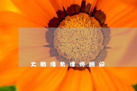 大鹏债务律师顾问 大鹏债务律师顾问