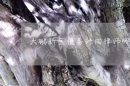 大鹏新区债务讨回律师哪个好 大鹏新区债务讨回律师哪个好
