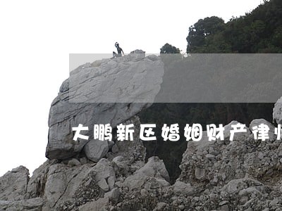 大鹏新区婚姻财产律师 大鹏新区婚姻财产律师