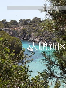 大鹏新区民事债务律师预约电话 大鹏新区民事债务律师预约电话