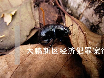 大鹏新区经济犯罪案律师排行 大鹏新区经济犯罪案律师排行