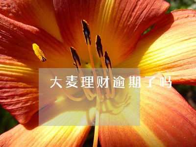 大麦理财逾期了吗 大麦理财逾期了吗