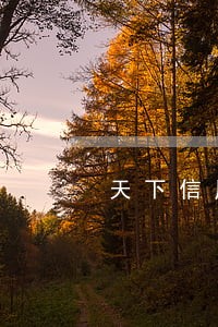 天下信用可查到逾期吗 天下信用可查到逾期吗