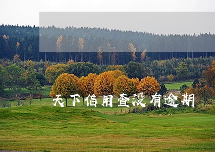 天下信用查没有逾期 天下信用查没有逾期