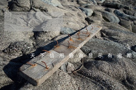 天下信用查询显示有逾期名单 天下信用查询显示有逾期名单
