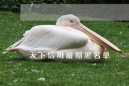 天下信用逾期黑名单 天下信用逾期黑名单