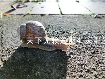 天下无赖逾期4天群发短信 天下无赖逾期4天群发短信