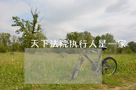 天下法院执行人是一家 天下法院执行人是一家