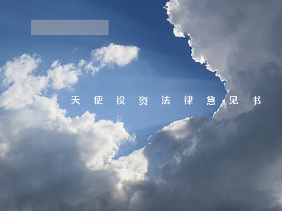 天使投资法律意见书