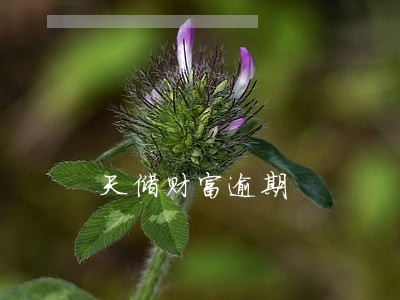 天储财富逾期 天储财富逾期