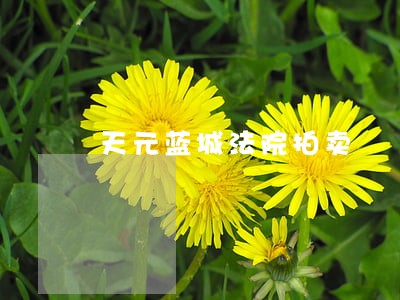 天元蓝城法院拍卖