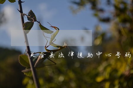 天全县法律援助中心号码 天全县法律援助中心号码