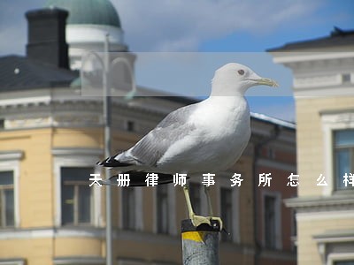 天册律师事务所怎么样 天册律师事务所怎么样