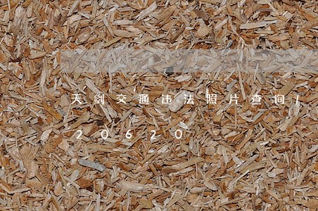 天剑交通违法照片查询/2023020420620 天剑交通违法照片查询/2023020420620