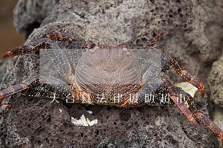 天台县法律援助超市 天台县法律援助超市