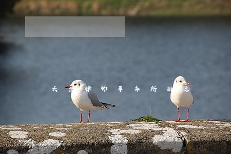 天台律师事务所排名 天台律师事务所排名