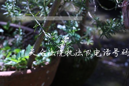 天台法院执法队电话号码 天台法院执法队电话号码