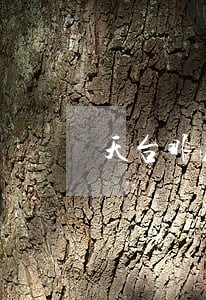 天台非法吸收公众存款罪律师 天台非法吸收公众存款罪律师