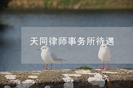 天同律师事务所待遇