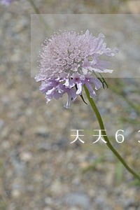 天天630法律援助热线 天天630法律援助热线