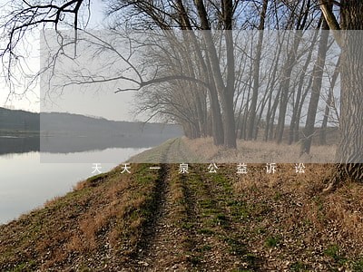 天天一泉公益诉讼 天天一泉公益诉讼