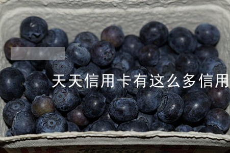 天天信用卡有这么多信用卡逾期
