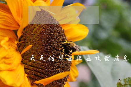天天信用无缘无故发消息说逾期 天天信用无缘无故发消息说逾期