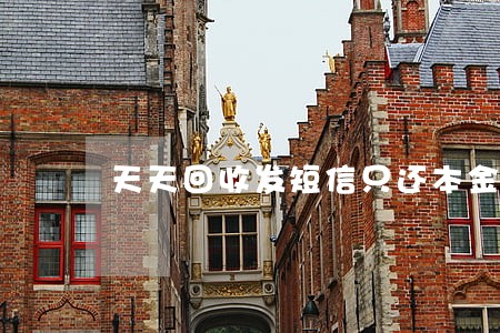 天天回收发短信只还本金 天天回收发短信只还本金