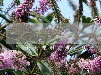 天天理财逾期20天 天天理财逾期20天