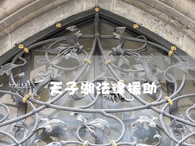 天子湖法律援助 天子湖法律援助