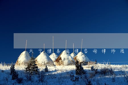 天宁债务法律咨询律师团队 天宁债务法律咨询律师团队