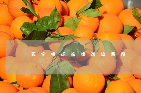 天宁拆迁法律咨询费用 天宁拆迁法律咨询费用