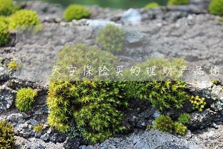 天安保险买的理财产品逾期了 天安保险买的理财产品逾期了