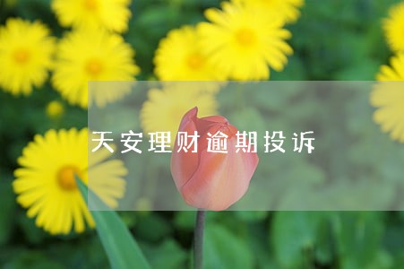天安理财逾期投诉 天安理财逾期投诉
