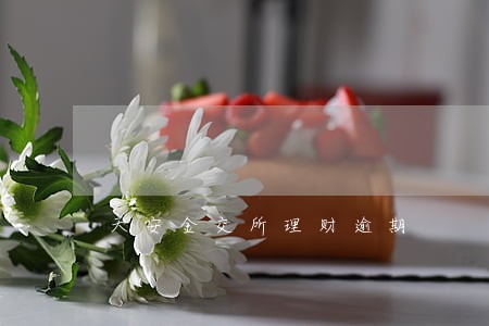 天安金交所理财逾期