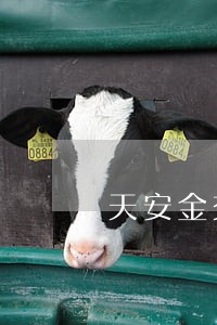 天安金交理财逾期 天安金交理财逾期
