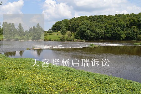 天客隆杨启瑞诉讼