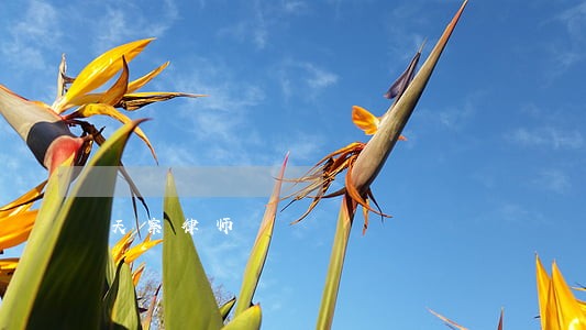 天察律师 天察律师