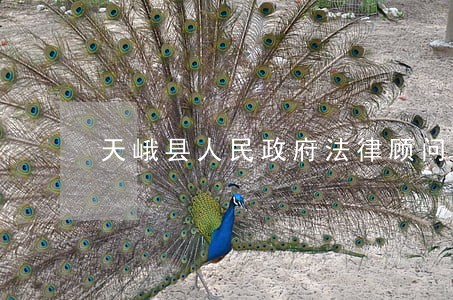 天峨县人民政府法律顾问 天峨县人民政府法律顾问