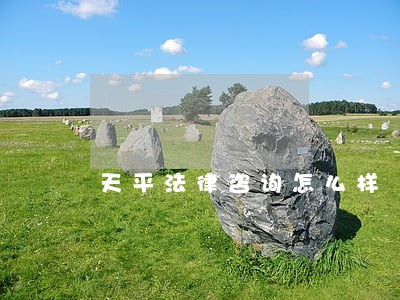 天平法律咨询怎么样 天平法律咨询怎么样