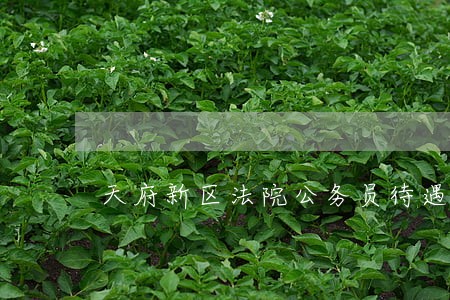 天府新区法院公务员待遇 天府新区法院公务员待遇