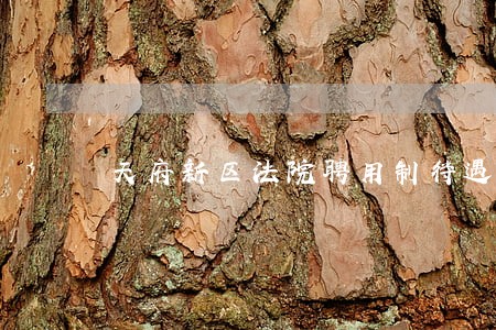 天府新区法院聘用制待遇 天府新区法院聘用制待遇