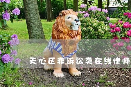 天心区非诉讼类在线律师 天心区非诉讼类在线律师