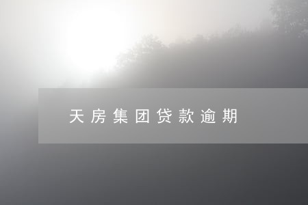 天房集团贷款逾期 天房集团贷款逾期
