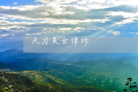天才美女律师 天才美女律师