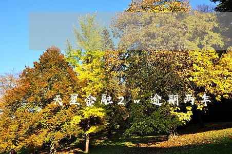 天星金融2w逾期两年 天星金融2w逾期两年