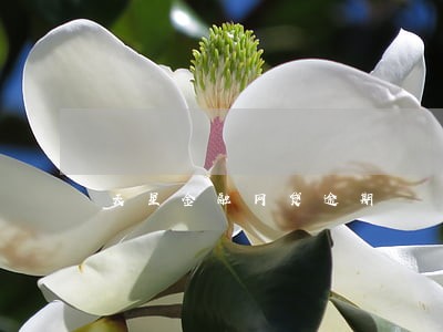 天星金融网贷逾期 天星金融网贷逾期