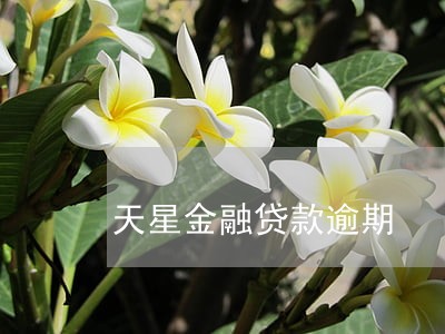天星金融贷款逾期 天星金融贷款逾期